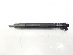 Injector, cod 9686191080, EMBR00101D, Ford Galaxy 2, 2.0 TDCI, UFWA (id:611827)