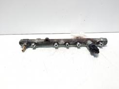 Rampa injectoare cu senzori, cod 820039699, 0445214078, Renault Scenic 2, 1.9 DCI, F9Q804 (id:620596)