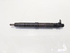 Injector, cod 9686191080, EMBR00101D, Ford Galaxy 2, 2.0 TDCI, UFWA (id:623662)