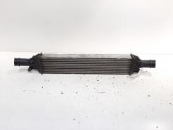 Radiator intercooler, Audi A4 (8K2, B8) 2.0 TDI, CAH (idi:607521)