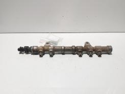 Rampa injectoare cu senzor, cod 55234437, 0445214217, Lancia Ypsilon (312, 846) 1.3 M-JET, 199B1000 (id:638010)