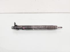 Injector, cod 9686191080, EMBR00101D, Ford Galaxy 1, 2.0 TDCI, UFWA (id:648929)