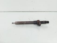 Injector, cod 9688438580, EJBR06001D, Citroen C5 (III) Break , 2.0 HDI, RHF (id:655786)