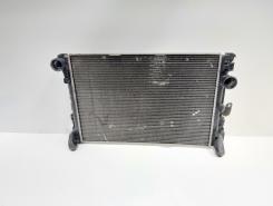 Radiator racire apa, cod A2045000303, Mercedes Clasa C T-Model (S204) 2.2 CDI, OM646811 (id:655768)