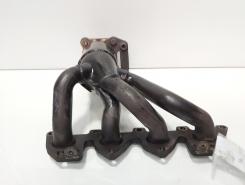 Catalizator, cod 036178EA, Vw Polo (9N), 1.4 benz, AUA (idi:622129)