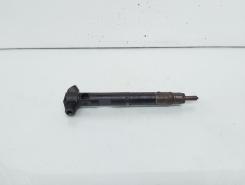 Injector Delphi, cod A6510700587, Mercedes Clasa E (W212), 2.2 CDI, OM651924 (id:662893)