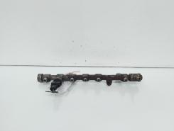 Rampa injectoare cu senzori, cod 8200620689, 0445214113, Renault Megane 3, 1.9 DCI, F9Q754 (idi:663401)