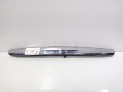 Maner haion, Mini Cooper (R50, R53) (id:620697)