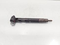 Injector Delphi, cod A65110700587, Mercedes Clasa E (W212) 2.2 CDI, OM651924 (id:672750)