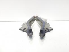 Set balamale capota fata, VW Passat Variant (3G5) (idi:611377)