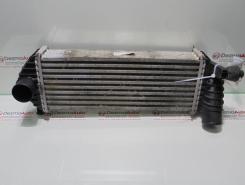 Radiator intercooler 8200427469, Renault Kangoo 1.5dci (id:288770)
