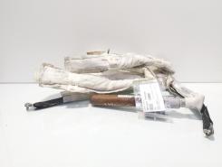 Airbag cortina stanga, cod 849147337039, Bmw 5 (E60) (id:678026)