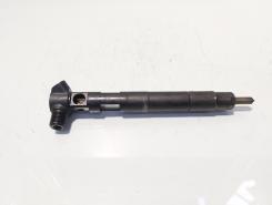 Injector Delphi, cod A6510704987, Mercedes Clasa E (W212), 2.2 CDI, OM651924 (id:677838)