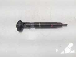 Injector Delphi, cod A6510704987, Mercedes Clasa E (W212) 2.2 CDI, OM651924 (id:474130)