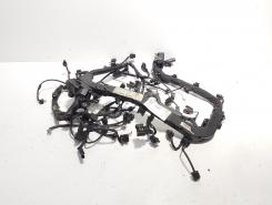 Instalatie electrica motor, cod A6510107048, Mercedes Clasa C T-Model (S204), 2.2 CDI, OM651911 (id:685085)