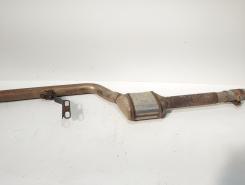 Catalizator, cod 2024900036, Mercedes Clasa CLC (CL203), 2.2 CDI, OM646963 (idi:684719)