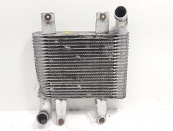 Radiator intercooler, cod 28190-4X40X, Hyundai Terracan (HP) 2.9 CRDI, P93U (id:689061)
