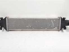 Radiator intercooler, Mercedes Clasa C (W204), 2.2 CDI, OM651913 (id:688582)
