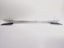 Set bare longitudinale, VW Tiguan (5N) (id:689718)