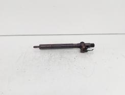 Injector Delphi, cod A6460700987, Mercedes Clasa E (W211), 2.2 CDI, OM646821 (id:692040)