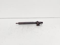 Injector Delphi, cod A6510700587, Mercedes Clasa E (W212), 2.2 CDI, OM651924 (id:689245)