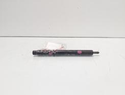 Injector Delphi, cod A6460700987, Mercedes Clasa E (W211), 2.2 CDI, OM646821 (id:692042)