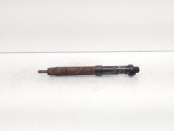 Injector, cod 9686191080, EMBR00101D, Ford Galaxy 2 2.0 TDCI, UFWA (id:692037)