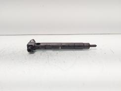 Injector Delphi, cod A6510702887, Mercedes Clasa E (W212) 2.2 CDI, OM651924 (id:689778)