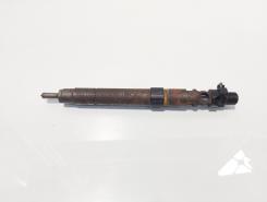 Injector, cod 9686191080, EMBR00101D, Ford Galaxy 2 2.0 TDCI, UFWA (id:693156)
