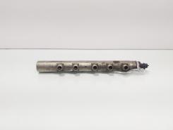 Rampa injectoare, cod GM55197370, 0445214095, Opel Zafira B (A05), 1.9 CDTI, Z19DT (id:693807)