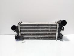 Radiator intercooler, cod CV61-9L440-VD, Ford Focus 3 1.0 benz, M1DA (id:701901)