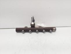 Rampa injectoare cu senzor, cod 8200669695, Renault Clio 3, 1.5 DCI, K9K770 (id:703188)