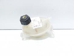 Vas expansiune, cod 217107259R, Dacia Sandero 2 1.5 DCI, K9K612 (id:706275)