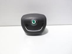 Airbag volan, cod 1Z0880201AK, Skoda Superb II Combi (3T5) (id:711679)