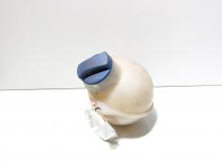 Vas expansiune, cod 7M3121407A, VW Sharan (7M8, 7M9, 7M6) (id:711886)