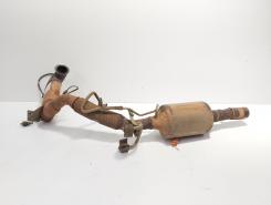 Catalizator, cod 6R0131690E, 6R0166BA, Vw Polo (9N) 1.4 TDI, BMS (idi:708009)