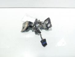 Set balamale usa stanga fata, Dacia Sandero 2 Stepway (idi:708046)