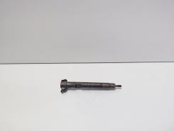 Injector Delphi, cod A6510700587, Mercedes Clasa E (W212) 2.2 CDI, OM651924 (id:712883)