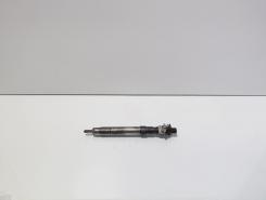 Injector, cod 9686191080, EMBR00101D, Ford Galaxy 2 2.0 TDCI, UFWA (id:713306)