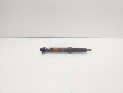 Injector, cod 9686191080, EMBR00101D, Ford Galaxy 2 2.0 TDCI, UFWA (id:715883)