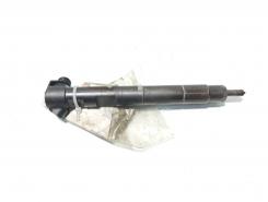 Injector Delphi, cod A6510702887, Mercedes Clasa E (W212) 2.2 CDI, OM651924 (id:585052)
