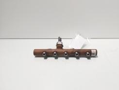 Rampa injectoare cu senzor Delphi, cod 8200669695, Renault Clio 3 1.5 DCI, K9K770 (id:703546)