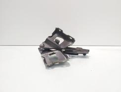 Set balamale capota fata, Audi A4 Avant (8K5, B8) (id:346685)