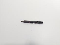 Injector Delphi, cod 166000897R, H8200827965, Renault Clio 3 1.5 DCI, K9K770 (id:720056)