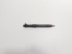 Injector, cod 9686191080, EMBR00101D, Land Rover Range Rover Evoque 2.2CD4, 224DT (id:719391)