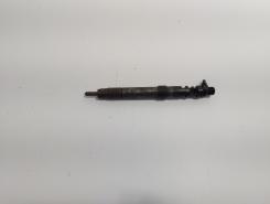 Injector, cod 9686191080, EMBR00101D, Ford Galaxy 2 2.0 TDCI, UFWA (id:719372)