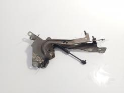 Set balamale capota fata, Renault Grand Scenic 3 (id:721249)