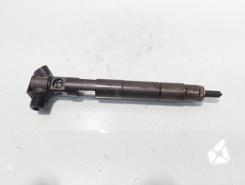 Injector Delphi, cod A6510700587, Mercedes Clasa E (W212) 2.2 CDI, OM651924 (id:721090)