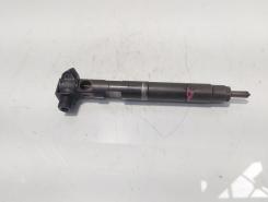 Injector Delphi, cod A6510704987, Mercedes Clasa E (W212) 2.2 CDI, OM651924 (id:721606)