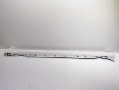 Ornament prag dreapta, cod 3R0853860A, Seat Exeo (3R2) facelift (idi:721948)